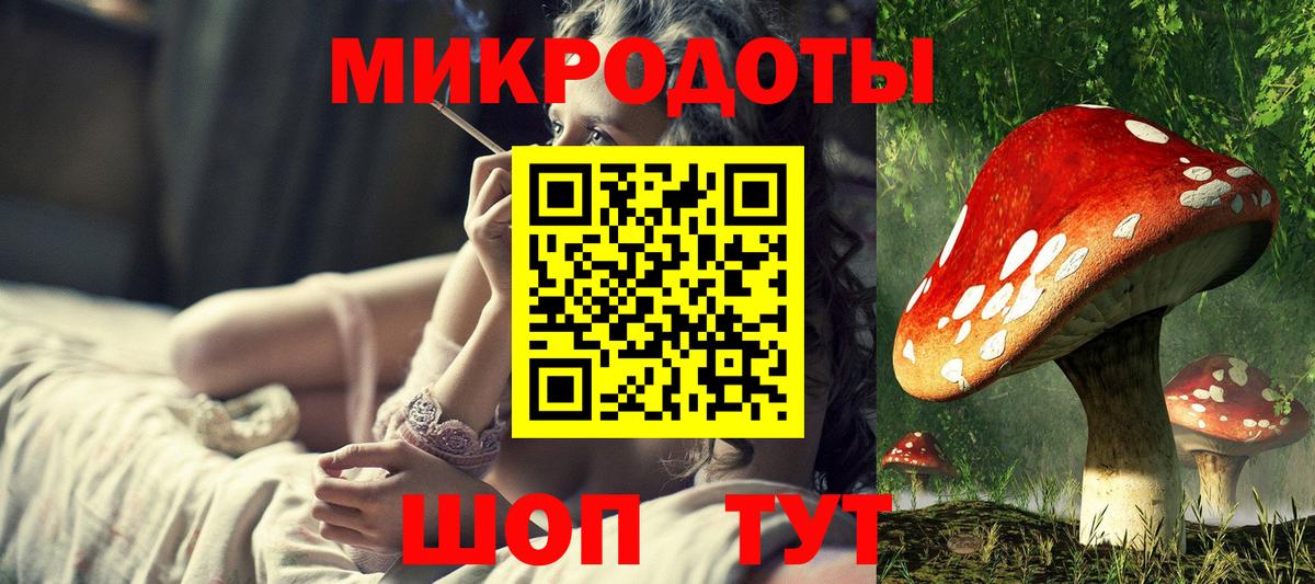 Псилоцибиновые грибы Psilocybe Карпинск