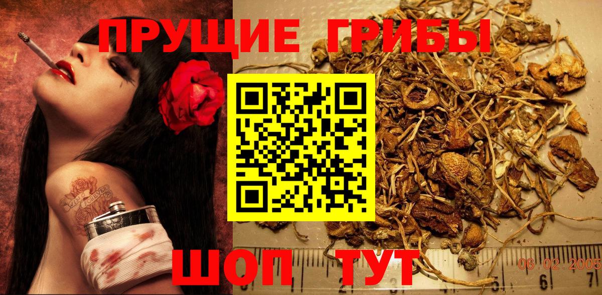 Карпинск  Галлюциногенные грибы мухоморы  Вход с VPN 